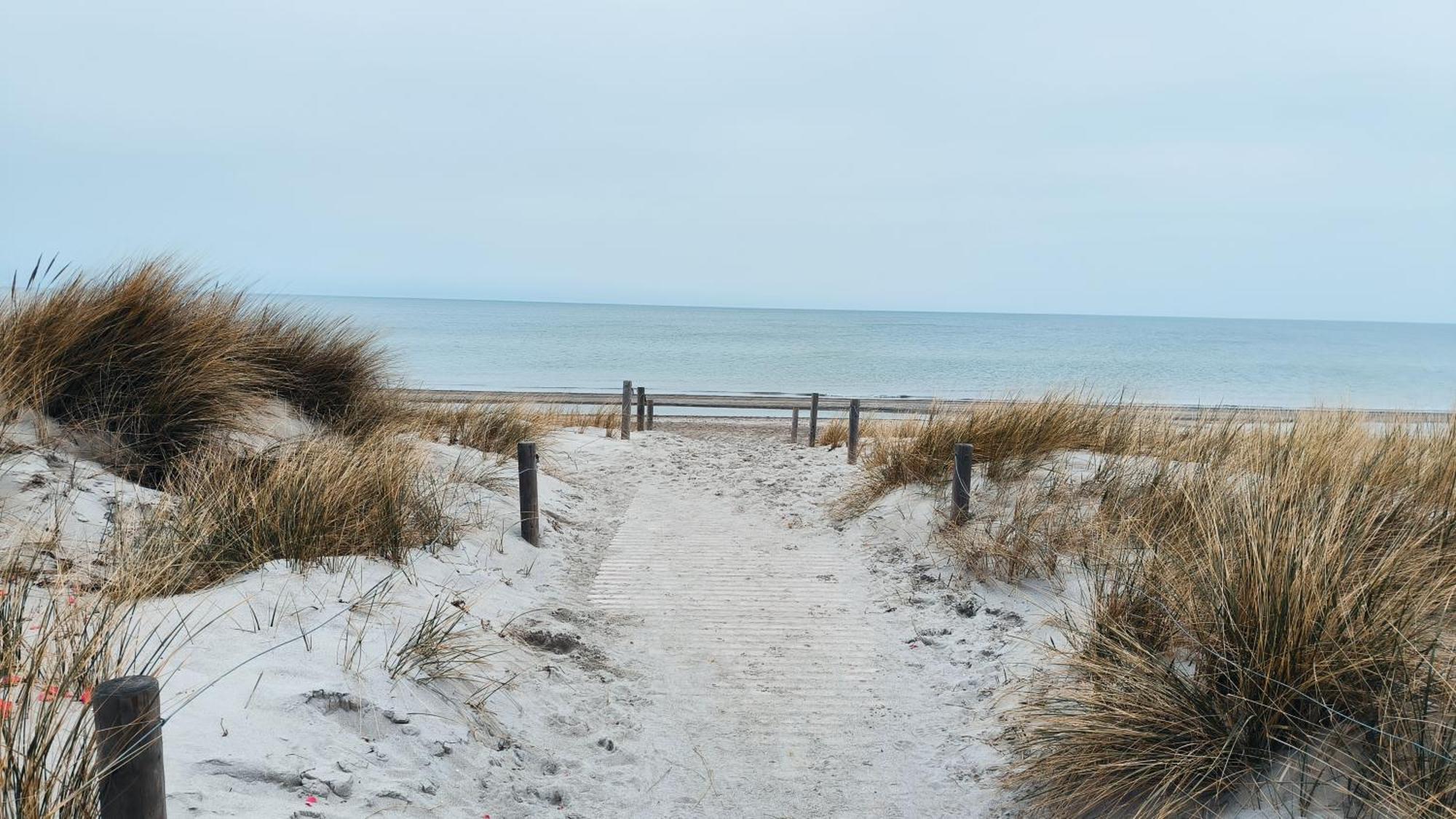 Ferienwohnung Ostseestern Rerik Mit Sauna エクステリア 写真